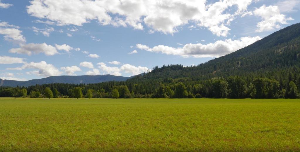 Cedar Mountain Farm Bed And Breakfast Llc Athol ภายนอก รูปภาพ