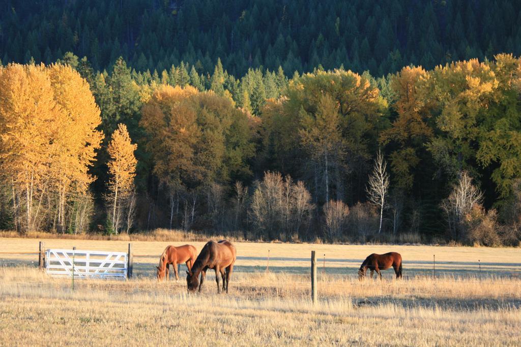Cedar Mountain Farm Bed And Breakfast Llc Athol ภายนอก รูปภาพ